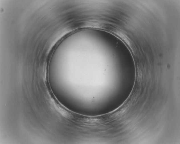 X0000088641131200705251451