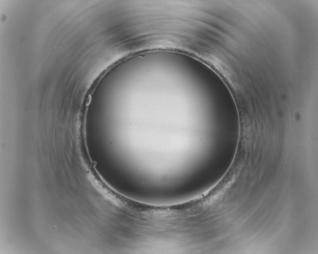 X0000088641134200705251451