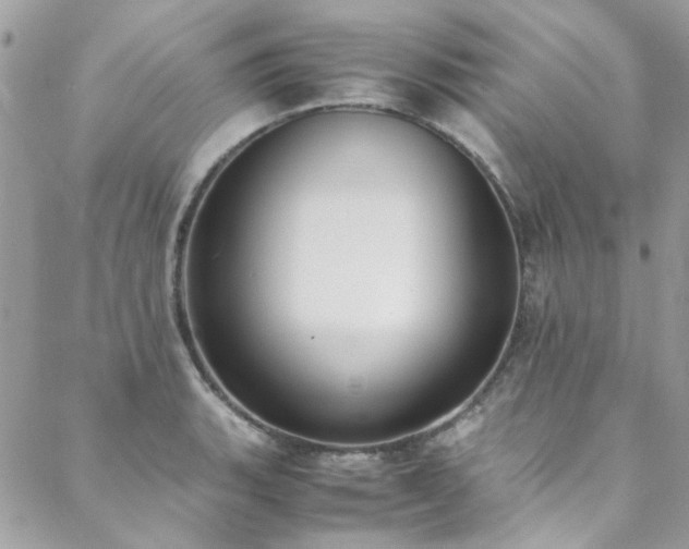 X0000088641135200705251451