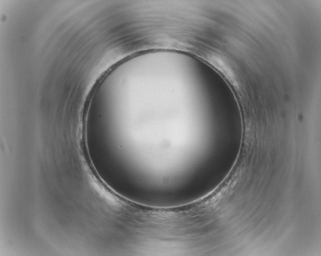 X0000088641136200705251451