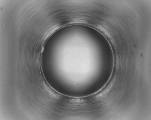 X0000088641137200705251451