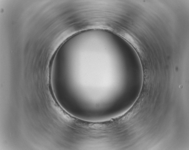 X0000088641140200705251451
