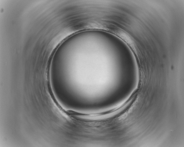 X0000088641141200705251451