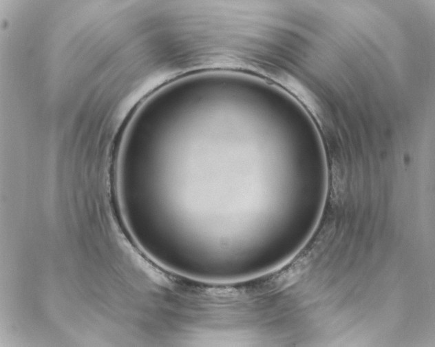 X0000088641142200705251451
