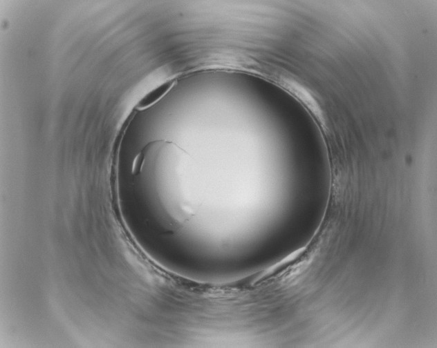 X0000088641146200705251451