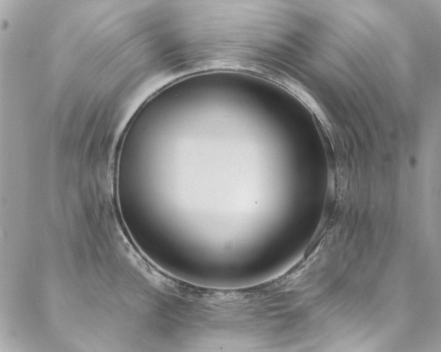 X0000088641148200705251451