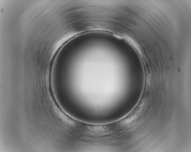 X0000088641149200705251451