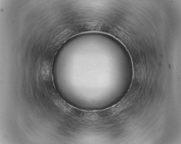 X0000088641154200705251450