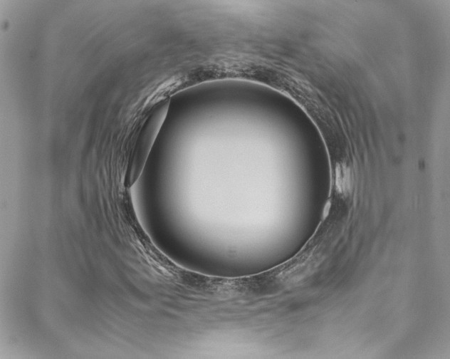 X0000088641155200705251450