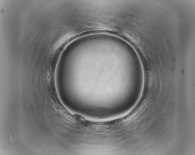 X0000088641163200705251450