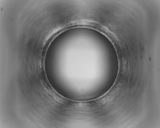X0000088641166200705251450