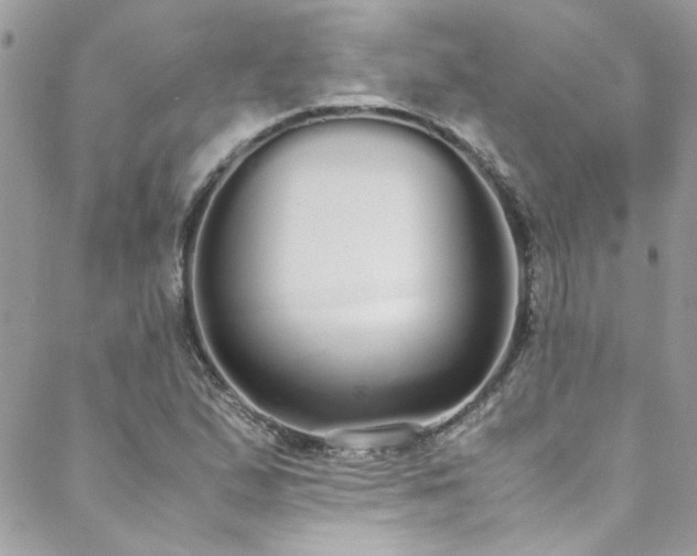 X0000088641167200705251450