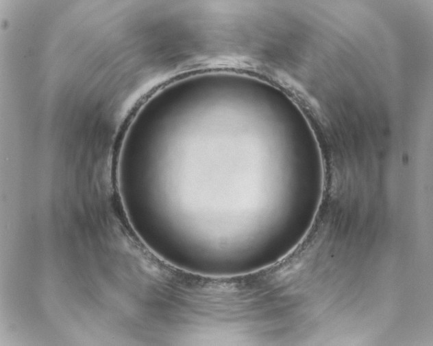 X0000088641174200705251450