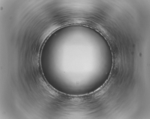 X0000088641178200705251450