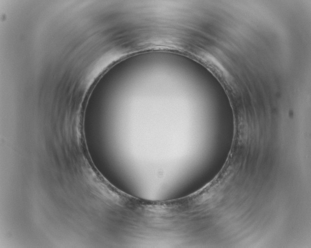 X0000088641182200705251450