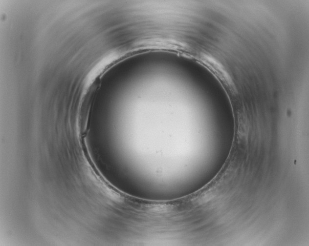 X0000088641188200705251450