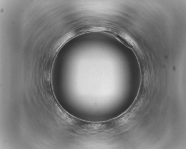 X0000088641193200705251450