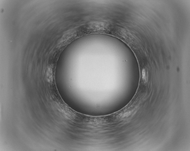 X0000088641203200705251449