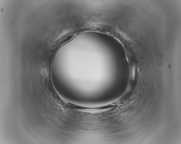 X0000088641206200705251449