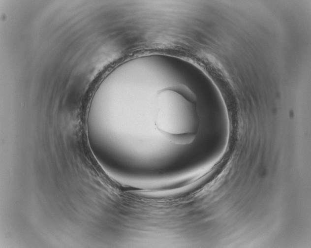 X0000088641210200705251449