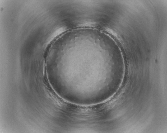 X0000088641219200705251449