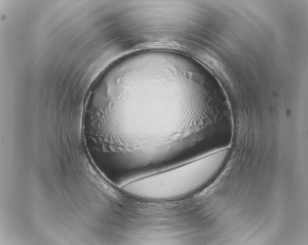 X0000088641228200705251449