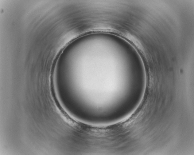 X0000088641237200705251449