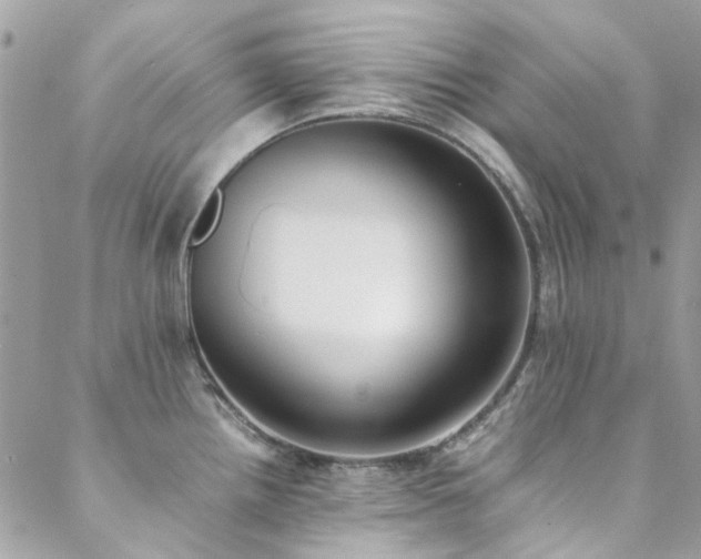 X0000088641242200705251449