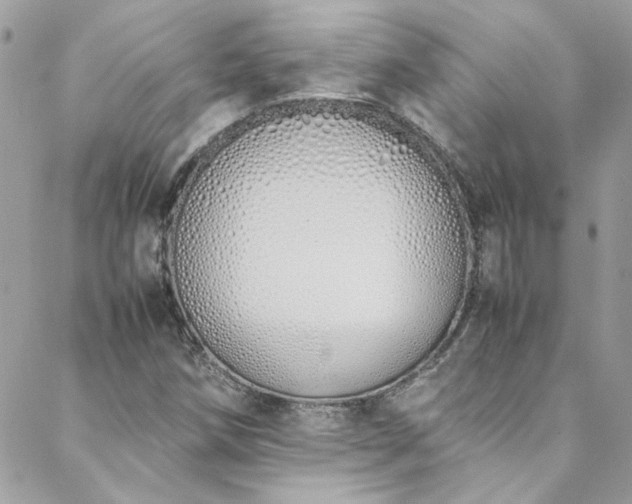 X0000088641258200705251449