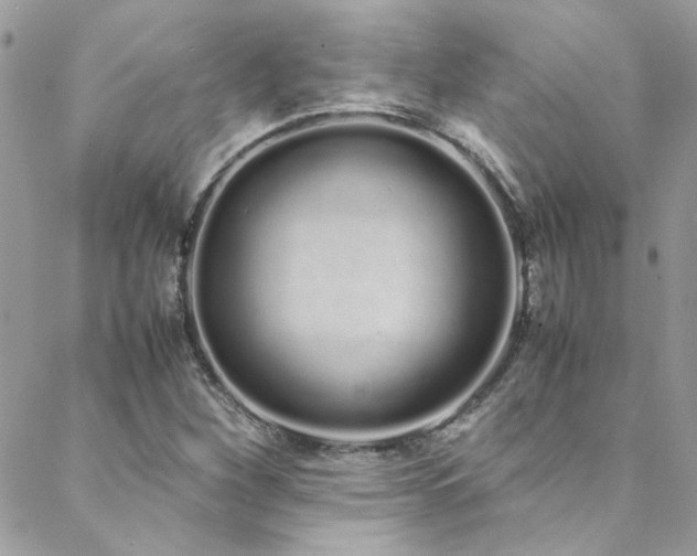 X0000088641260200705251449