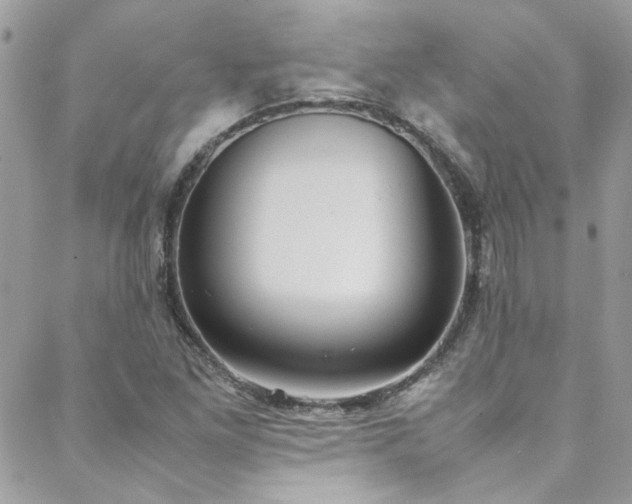 X0000088641261200705251449
