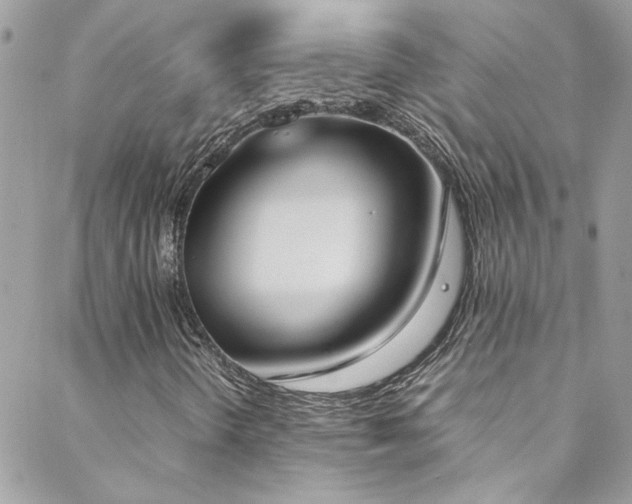 X0000088641298200705251447