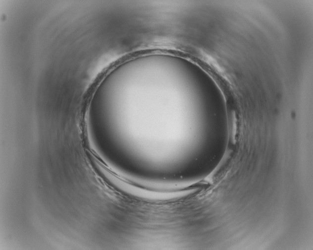 X0000088641312200705251447