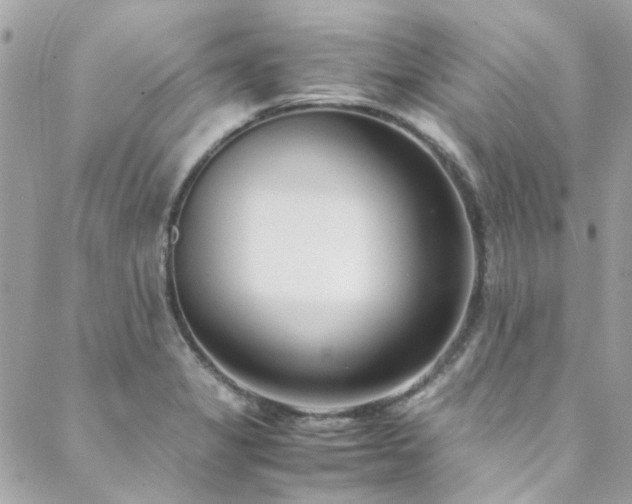 X0000088641325200705251448