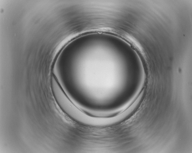 X0000088641332200705251448