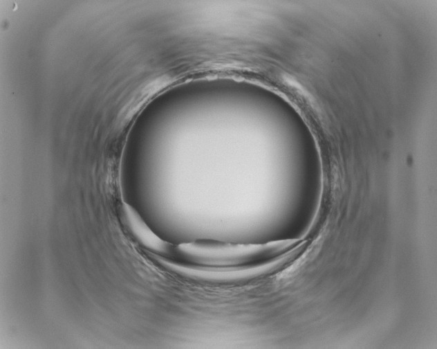 X0000088641361200705251447
