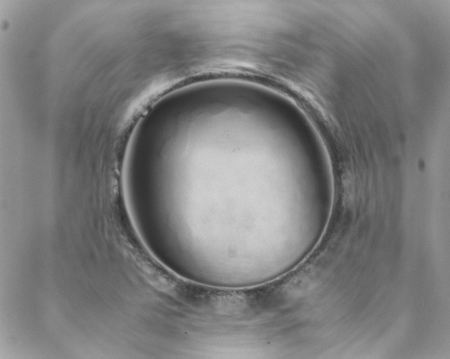 X0000088641363200705251447