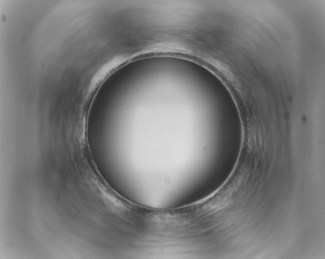 X0000088641366200705251447