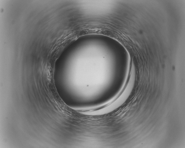 X0000088641394200705251446