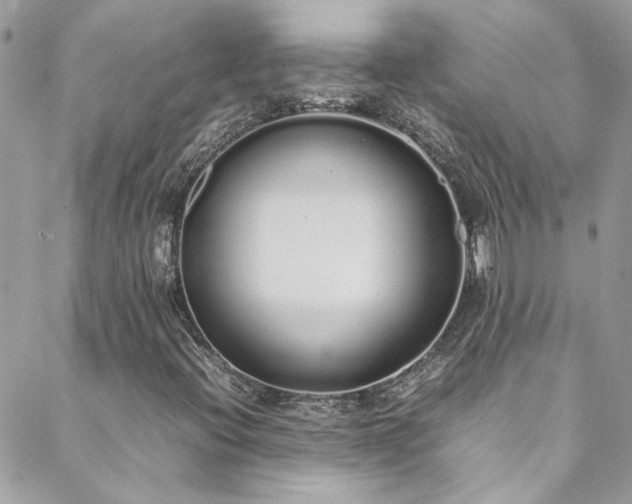 X0000088641396200705251446