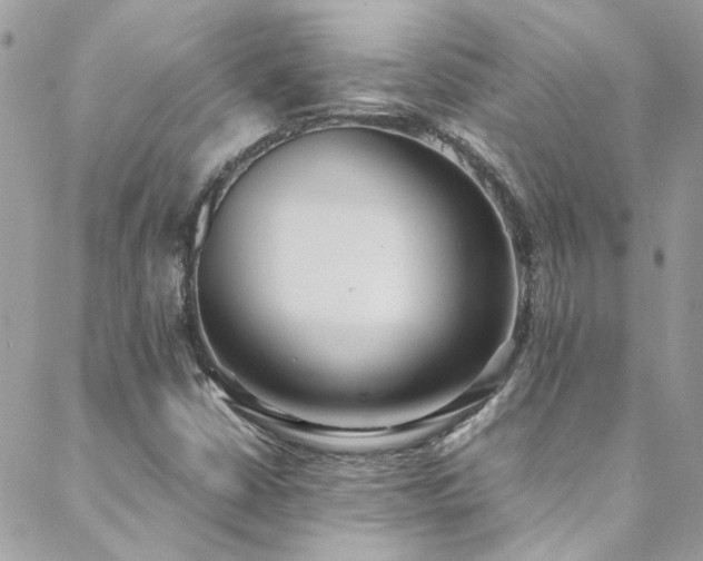 X0000088641402200705251446