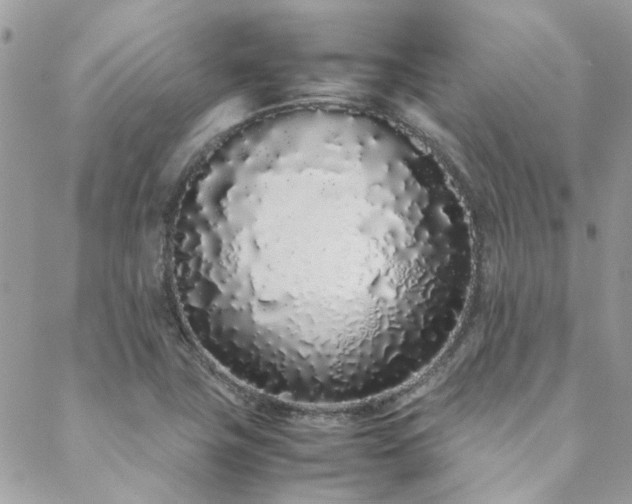 X0000088641411200705251446