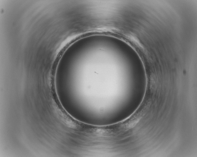 X0000088641412200705251446