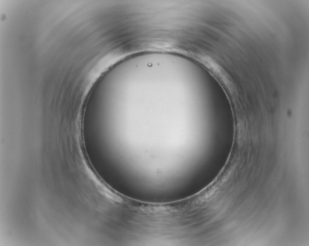 X0000088641432200705251446