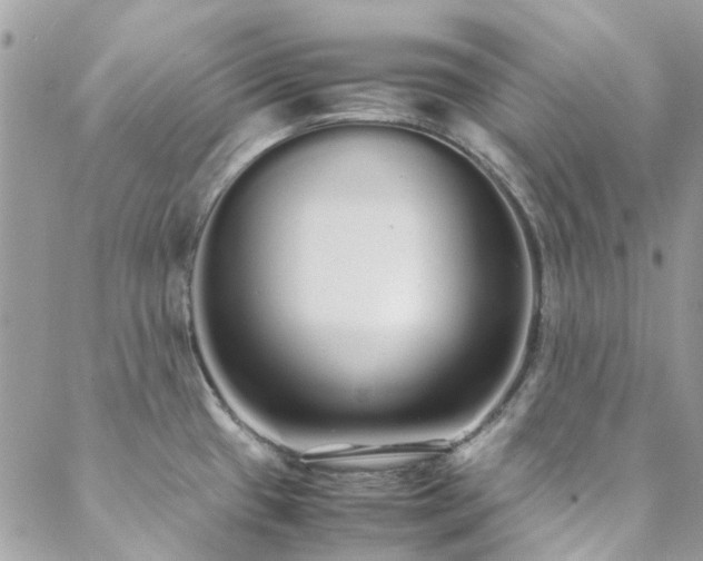 X0000088641433200705251446