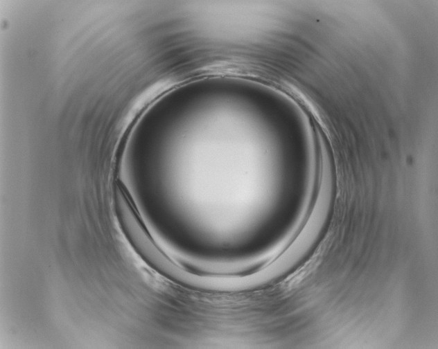 X0000088641434200705251446