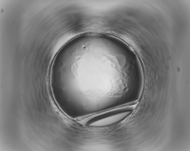 X0000088641440200705251446