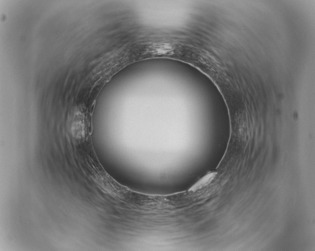 X0000088641442200705251446