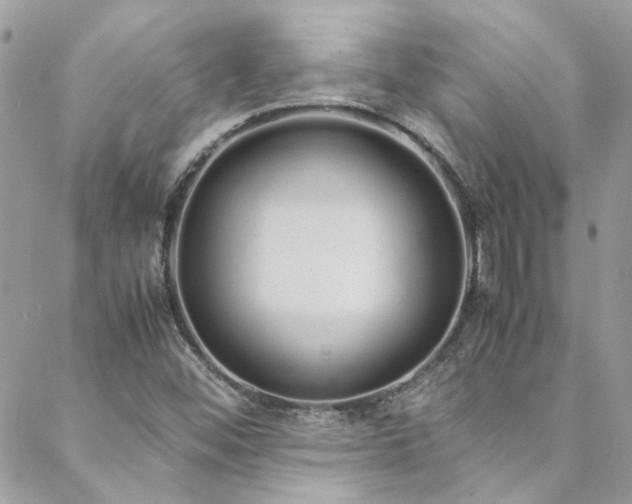 X0000088641452200705251445