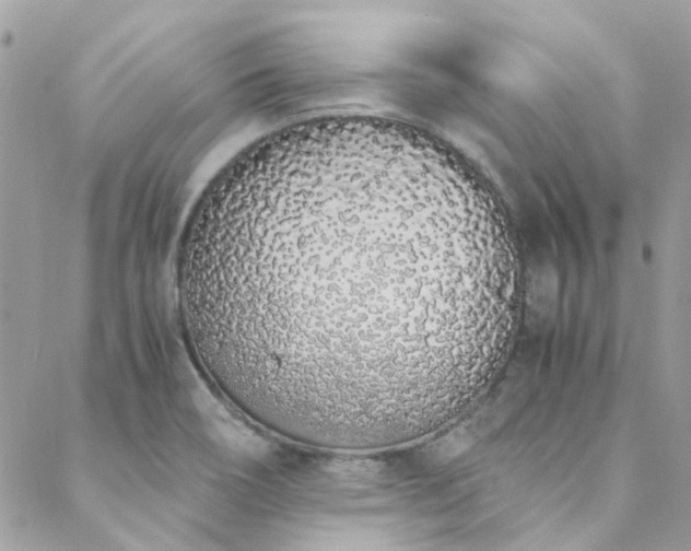 X0000088641466200705251445